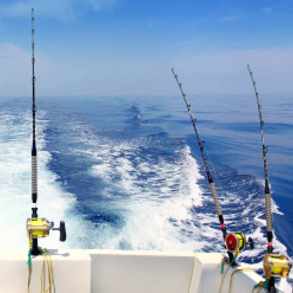 Pesca desportiva