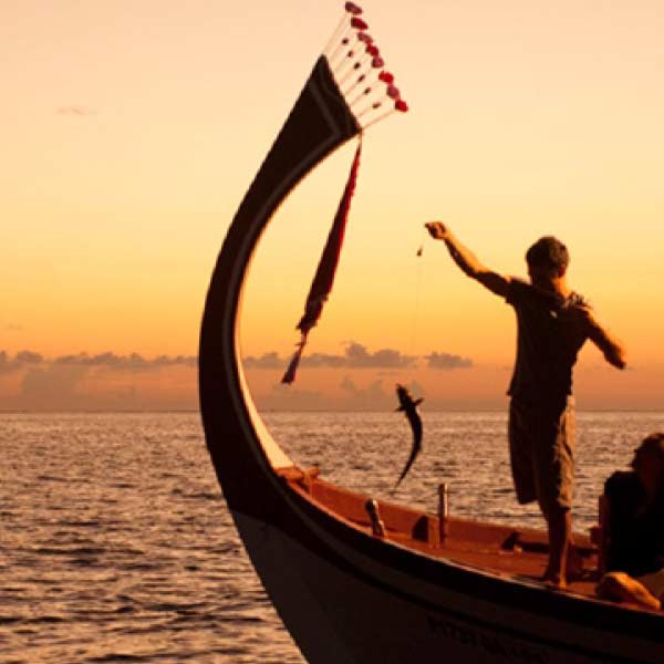 Sunset Fishing