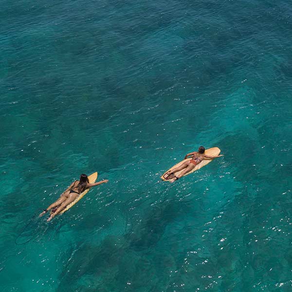 Surfing